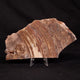 Stromatolites / Microbialites