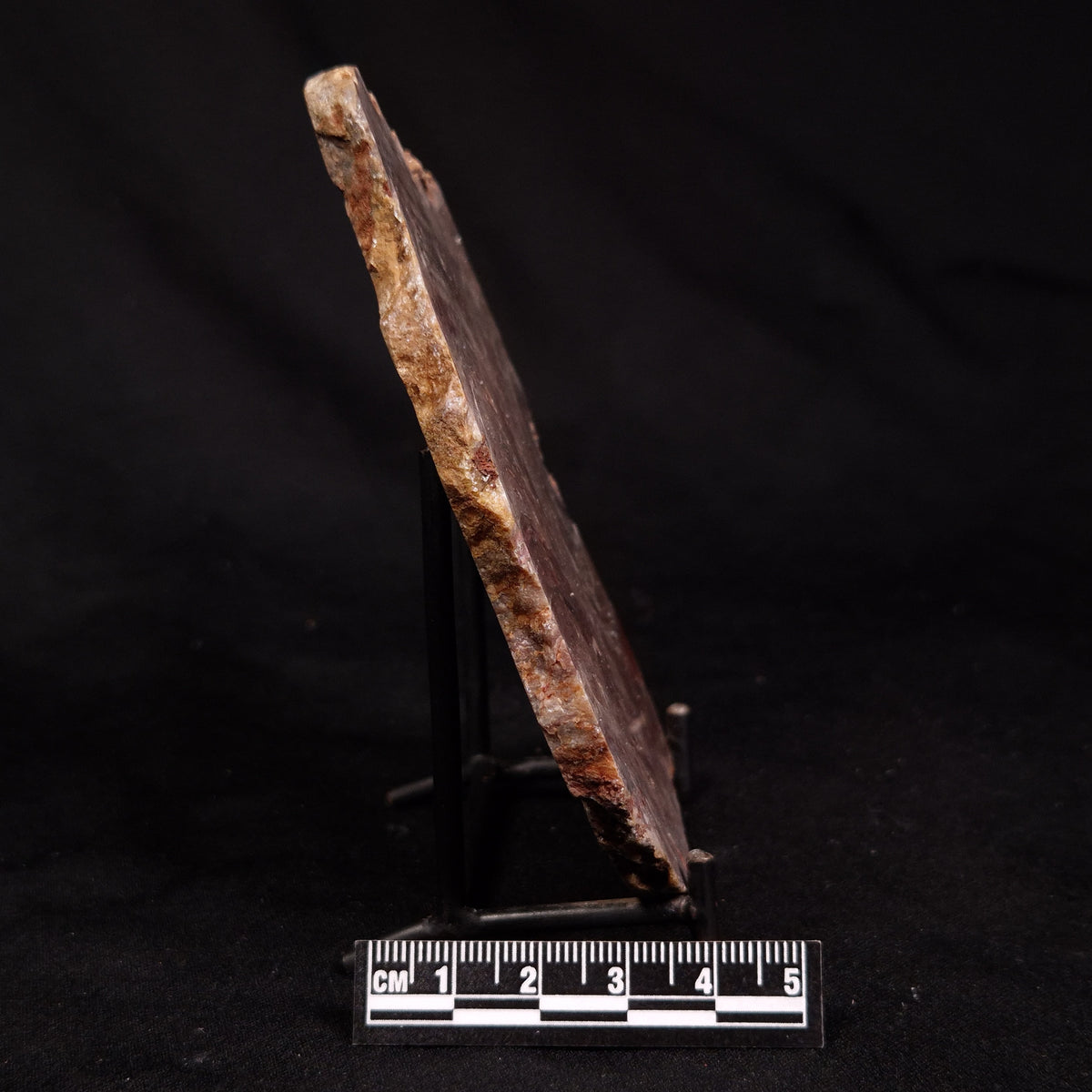 CONOPHYTON BASALTICUM STROMATOLITE, Australia ZCB060