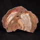 Stromatolites / Microbialites