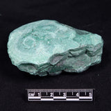 ROUGH MALACHITE, Democratic Republic of Congo YLM004