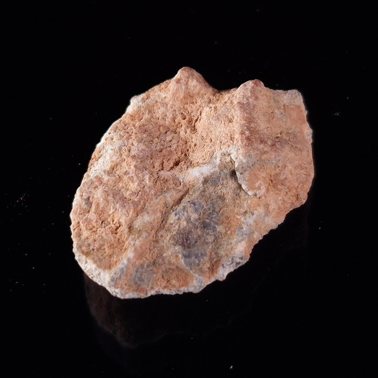 BECHAR 003 LUNAR METEORITE, Algeria XLM001