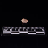 BECHAR 003 LUNAR METEORITE, Algeria XLM002