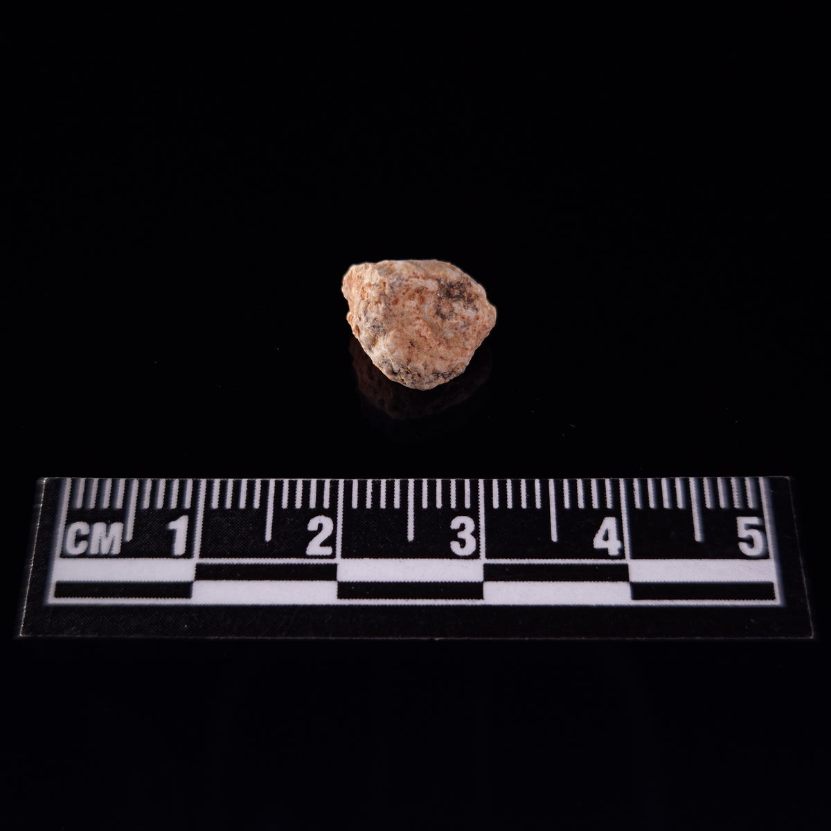 BECHAR 003 LUNAR METEORITE, Algeria XLM003