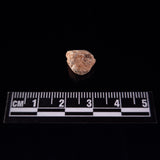 BECHAR 003 LUNAR METEORITE, Algeria XLM003