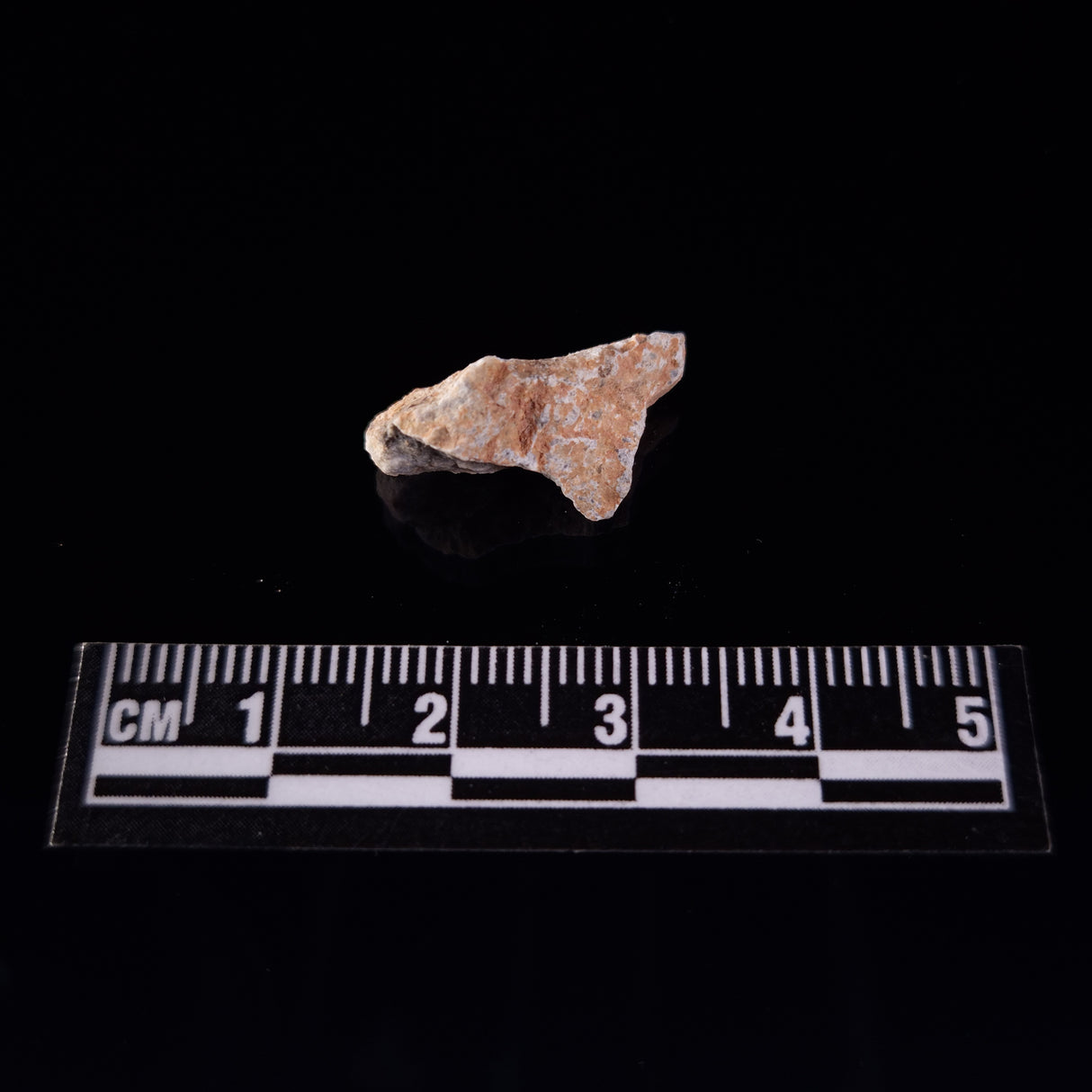 BECHAR 003 LUNAR METEORITE, Algeria XLM004