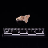 BECHAR 003 LUNAR METEORITE, Algeria XLM004