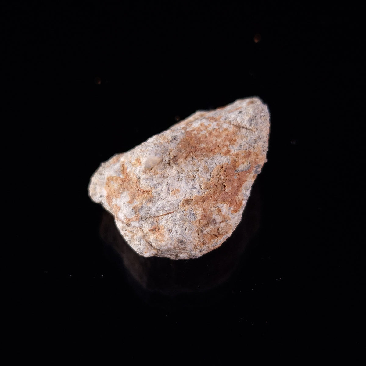 BECHAR 003 LUNAR METEORITE, Algeria XLM005