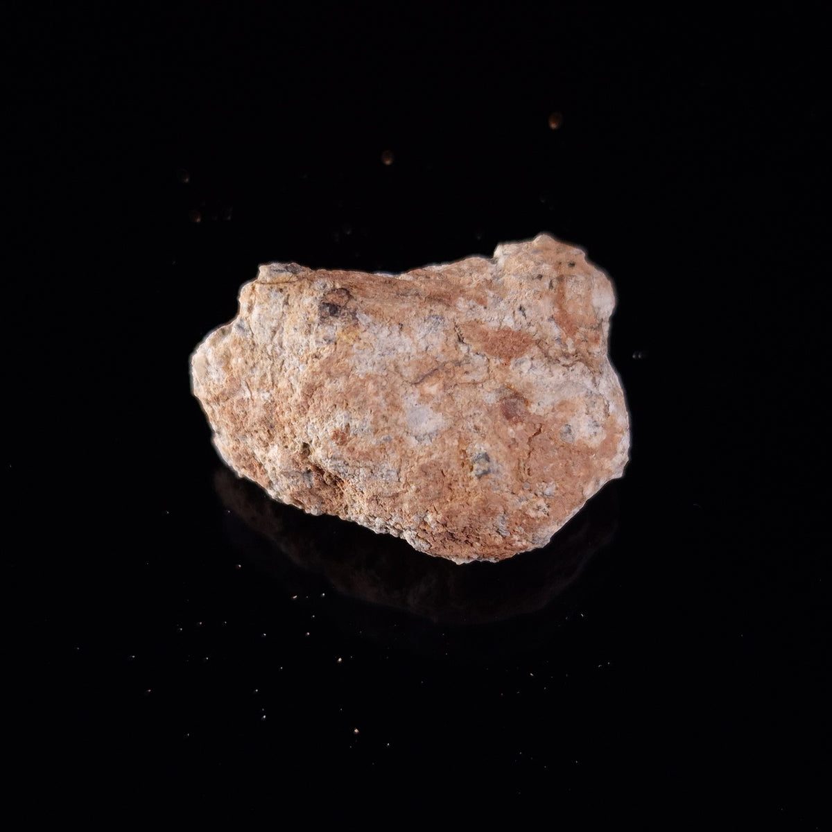 BECHAR 003 LUNAR METEORITE, Algeria XLM005