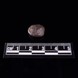 BOXHOLE METEORITE, Australia XBM002