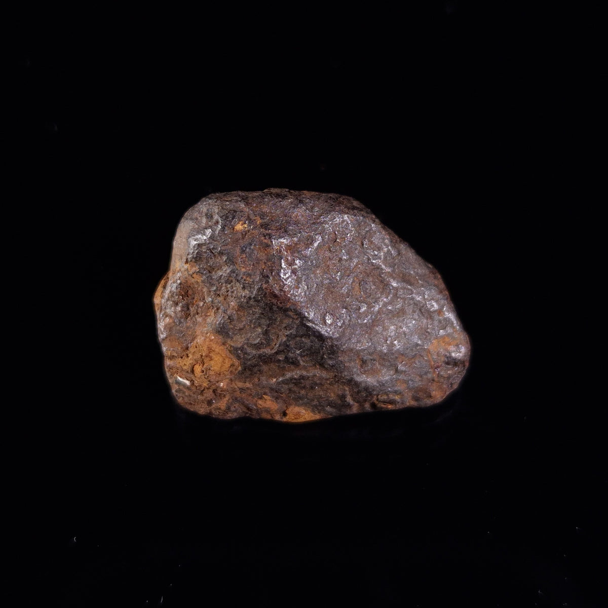 BOXHOLE METEORITE, Australia XBM005