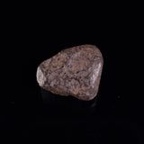 BOXHOLE METEORITE, Australia XBM006