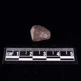 BOXHOLE METEORITE, Australia XBM006