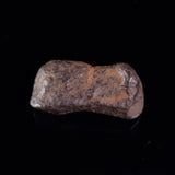 BOXHOLE METEORITE, Australia XBM007