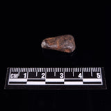 BOXHOLE METEORITE, Australia XBM007