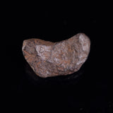 BOXHOLE METEORITE, Australia XBM008