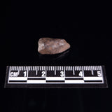 BOXHOLE METEORITE, Australia XBM009