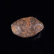 View All Meteorites / Tektites