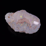 OPAL SHELL EYRENA sp. Cretaceous, Australia YOS016