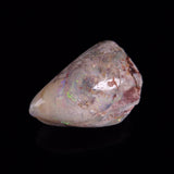 OPAL SHELL EYRENA sp. Cretaceous, Australia YOS021