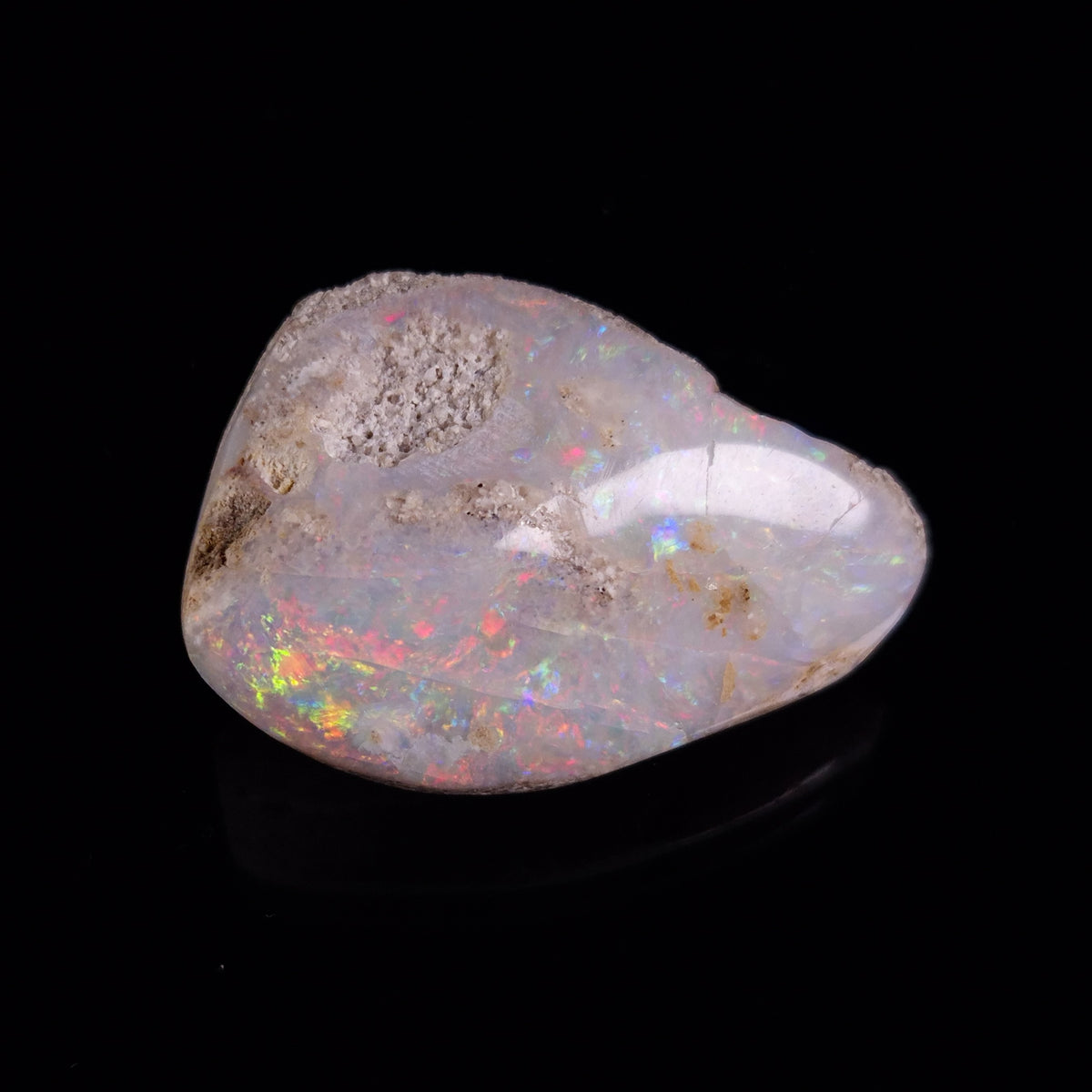 OPAL SHELL CYRENOPSIS sp. Cretaceous, Australia YOS024