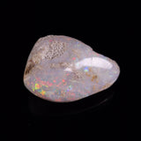 OPAL SHELL CYRENOPSIS sp. Cretaceous, Australia YOS024