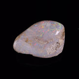 OPAL SHELL CYRENOPSIS sp. Cretaceous, Australia YOS024