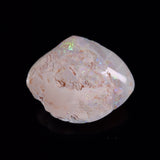 OPAL SHELL CYRENOPSIS sp. Cretaceous, Australia YOS025