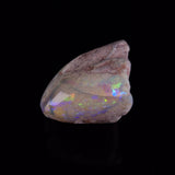 OPAL SHELL EYRENA sp. Cretaceous, Australia YOS028