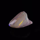 OPAL SHELL EYRENA sp. Cretaceous, Australia YOS028