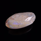OPAL SHELL EYRENA sp. Cretaceous, Australia YOS029