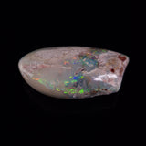 OPAL SHELL EYRENA sp. Cretaceous, Australia YOS030