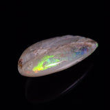 OPAL SHELL EYRENA sp. Cretaceous, Australia YOS030