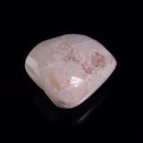 OPAL SHELL CYRENOPSIS sp. Cretaceous, Australia YOS031