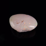 OPAL SHELL CYRENOPSIS sp. Cretaceous, Australia YOS032