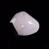 OPAL SHELL CYRENOPSIS sp. Cretaceous, Australia YOS033
