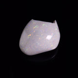OPAL SHELL CYRENOPSIS sp. Cretaceous, Australia YOS033