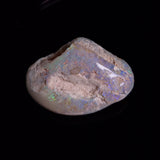 OPAL SHELL CYRENOPSIS sp. Cretaceous, Australia YOS034