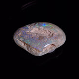 OPAL SHELL CYRENOPSIS sp. Cretaceous, Australia YOS034