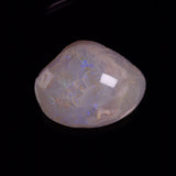 OPAL SHELL CYRENOPSIS sp. Cretaceous, Australia YOS036