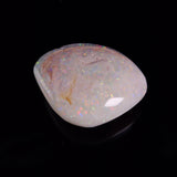 OPAL SHELL CYRENOPSIS sp. Cretaceous, Australia YOS037