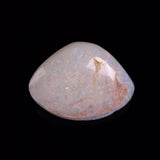 OPAL SHELL CYRENOPSIS sp. Cretaceous, Australia YOS037