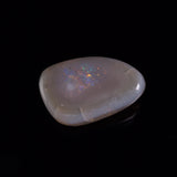 OPAL SHELL EYRENA sp. Cretaceous, Australia YOS038