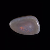 OPAL SHELL EYRENA sp. Cretaceous, Australia YOS038