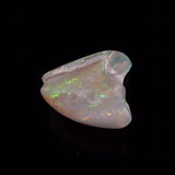 OPAL SHELL EYRENA sp. Cretaceous, Australia YOS040