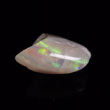 OPAL SHELL EYRENA sp. Cretaceous, Australia YOS040