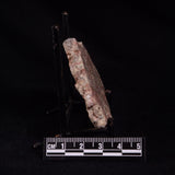 EPIDOTE FELDSPAR & QUARTZ, Tasmania ZEF004