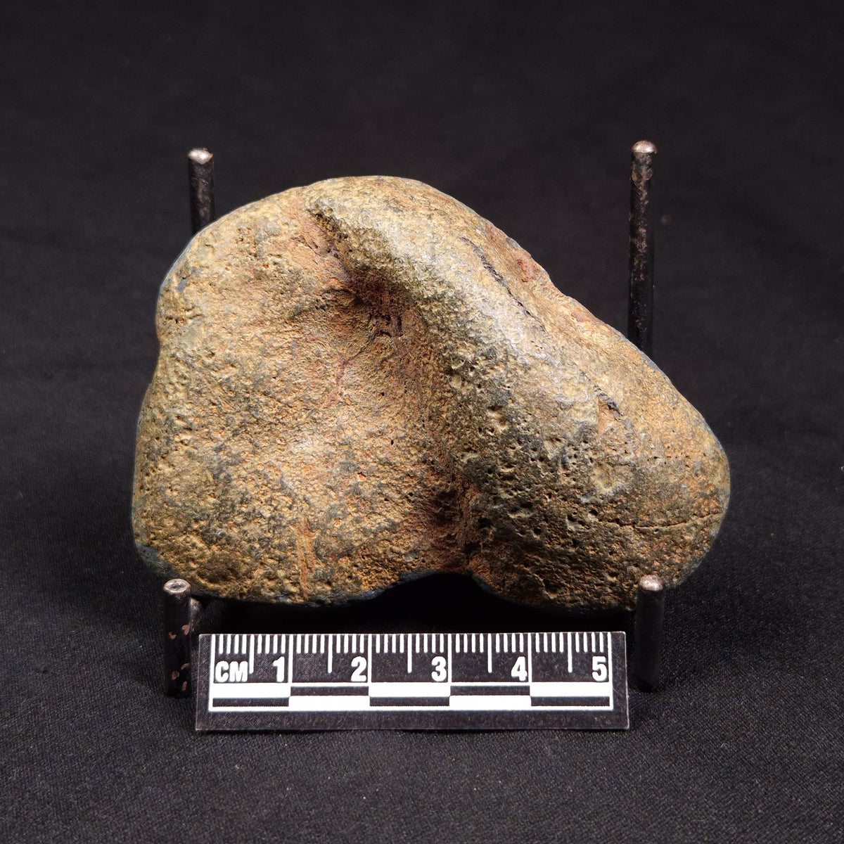 VIVIANITE NODULE, Australia XVI021