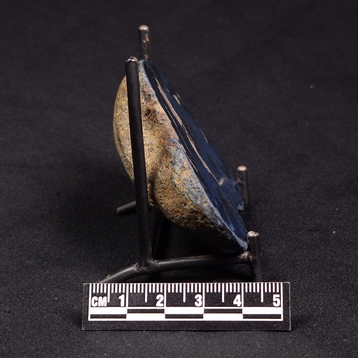 VIVIANITE NODULE, Australia XVI021