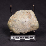 VIVIANITE NODULE, Australia XVI022