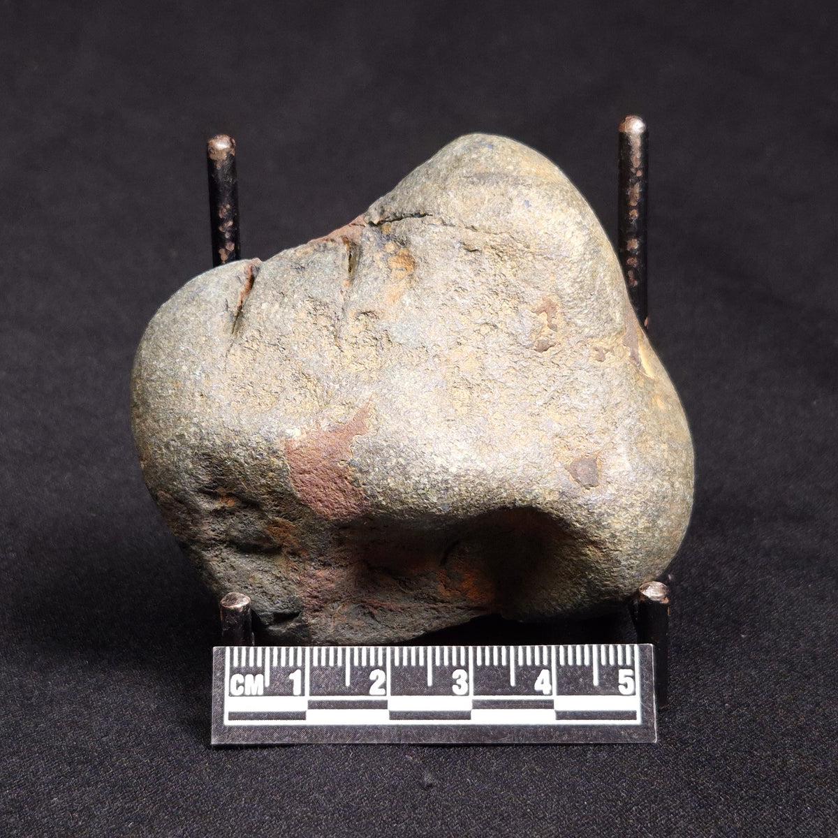 VIVIANITE NODULE, Australia XVI023